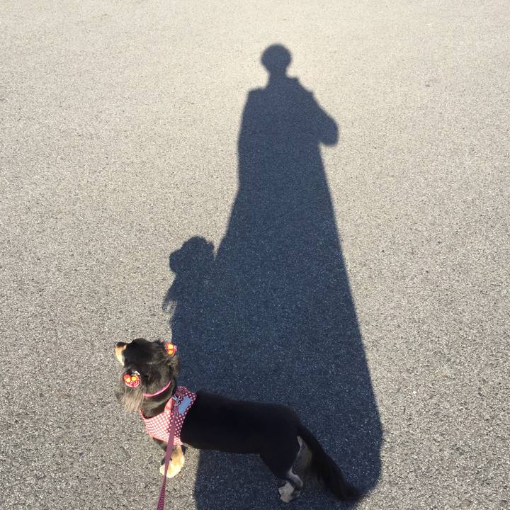 92856b73 8c0c 49ac af4a 21e2a9edb8a3 1545637942553