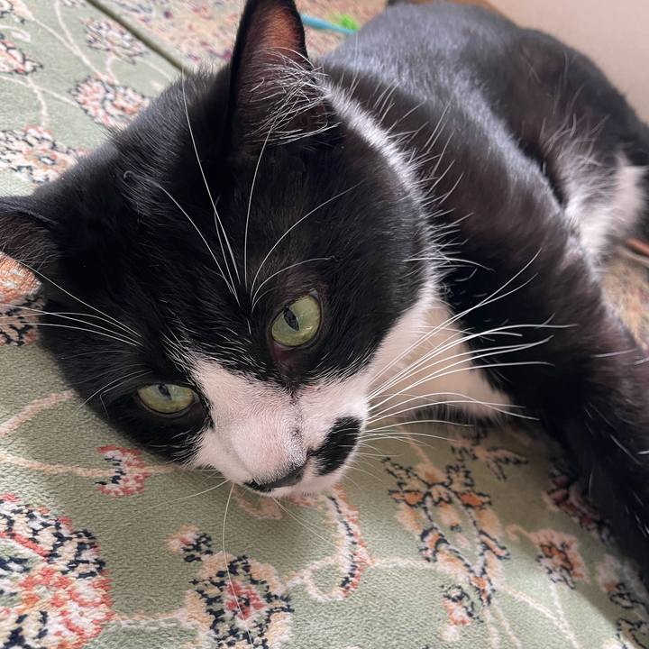 92857419 e051 4e18 aaa2 834419caabab 1716507057282