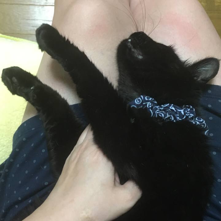 9285d2c3 c2a1 4e32 9538 1c341f2085c9 1536833356621