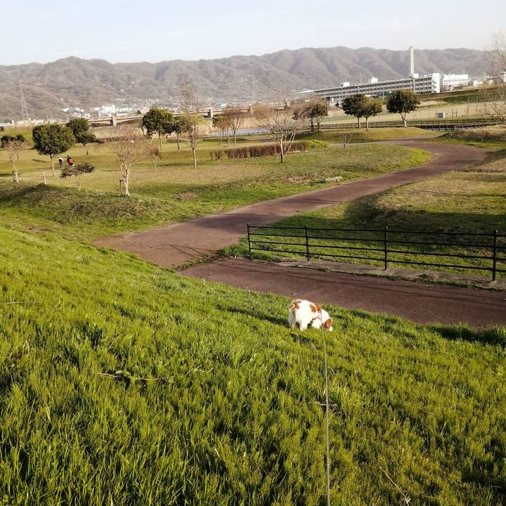 9285ed25 3598 4006 97b6 0d5ff41023c7 1615979975065