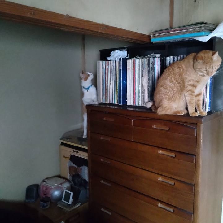 9286065d 72c7 42ad 8307 0e08de7e8afb 1732263267879