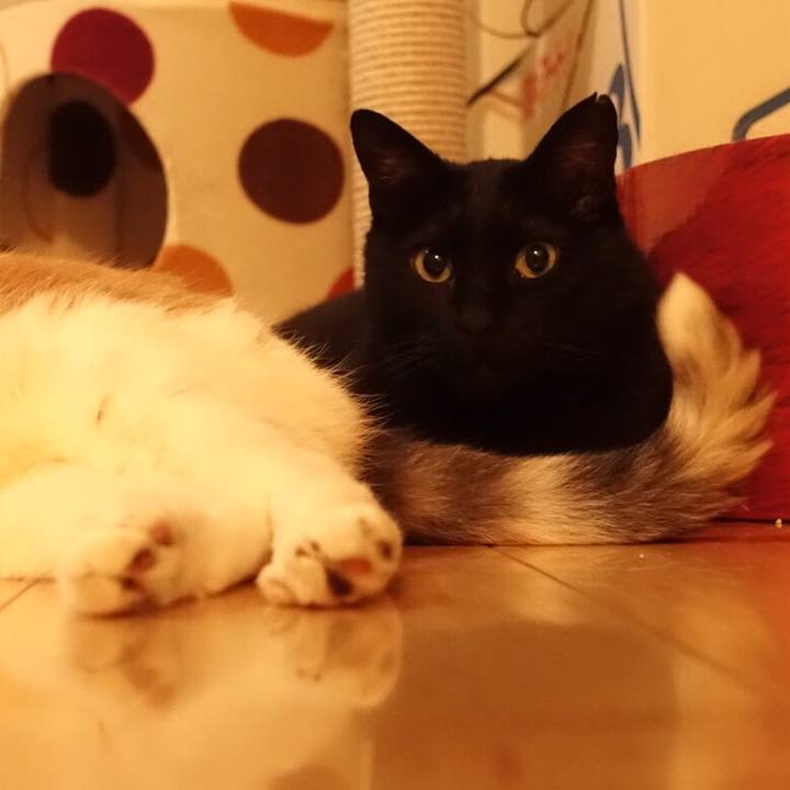 9286117a 4b64 4969 b44e 749c3336725f 1539008426494