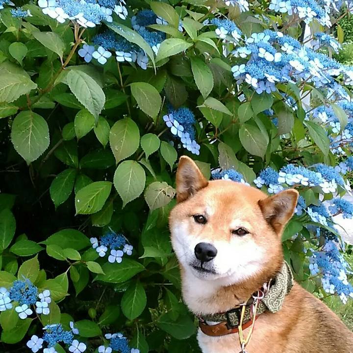 928619f2 d052 4eed 85f9 59b75dbef343 1528331501161