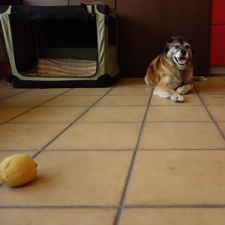 92862fe8 89d8 4c8d b408 1320dd776005 1526346285743