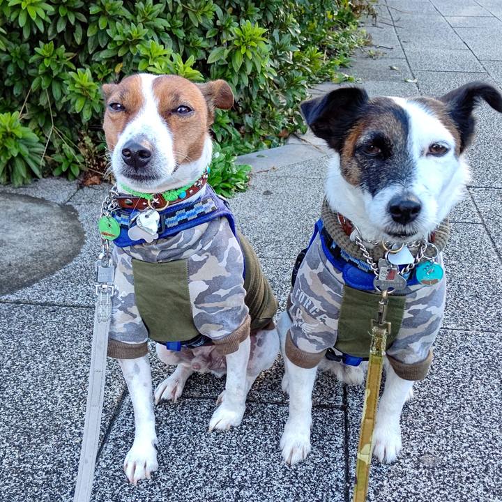 928634d8 ca54 4ae1 9b7c 47fd70f7134c 1634951221630