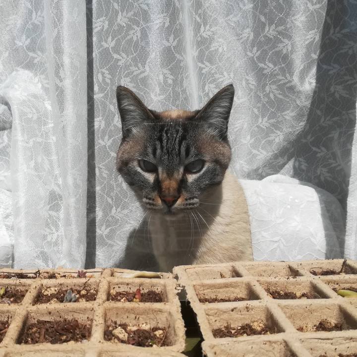 92863ade 522a 467b b180 5df6ea1d225f 1584243166837