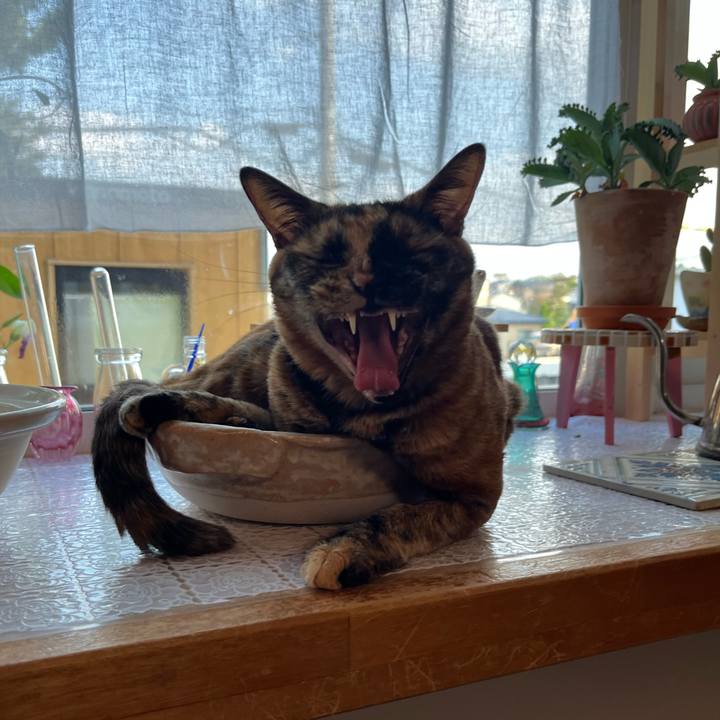 92864299 9050 4988 abf5 27bea8bb0f17 1690963349168