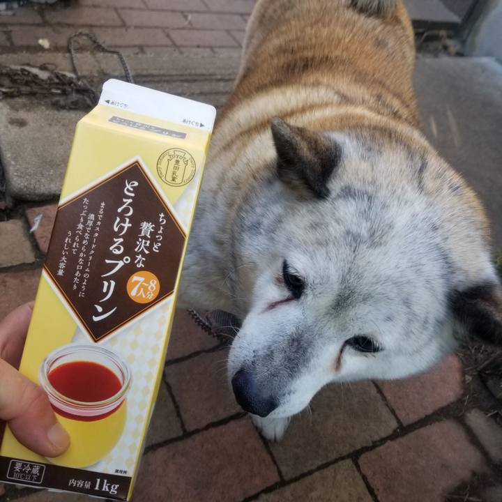 928646cd 6ec4 4427 89c5 f7c3c0f5167c 1677283190292