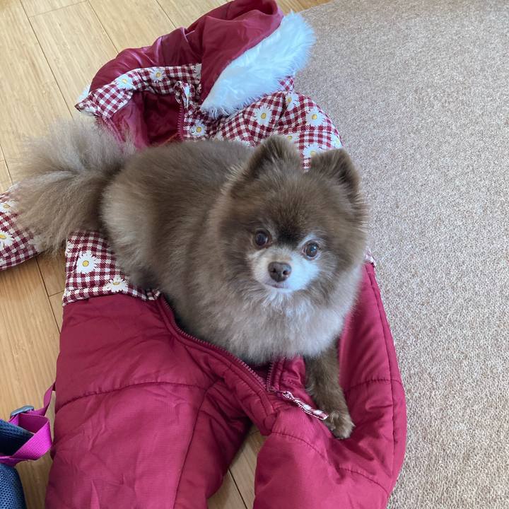 92868da1 e9a4 4408 ad71 2b01638e9d71 1648003842631