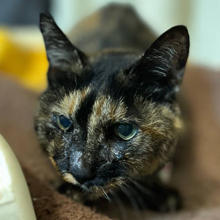 92868ea1 4910 4785 a37d ff861e958d3f 1673952650665