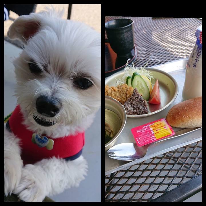 9286c68c 8a50 4f1c 8ea4 1abcaf99dd43 1540112968378