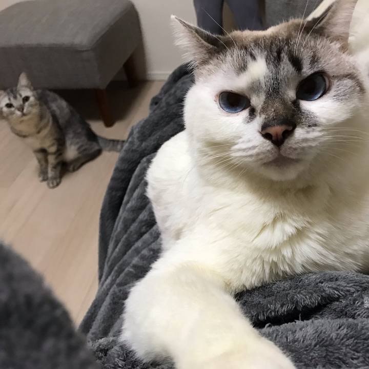 9286dec9 d562 4276 8515 80593f42a4a9 1548888179651