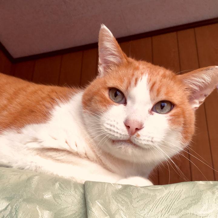 9286ea9e f3cc 4314 88f4 5c3c1c0648f4 1575528796763