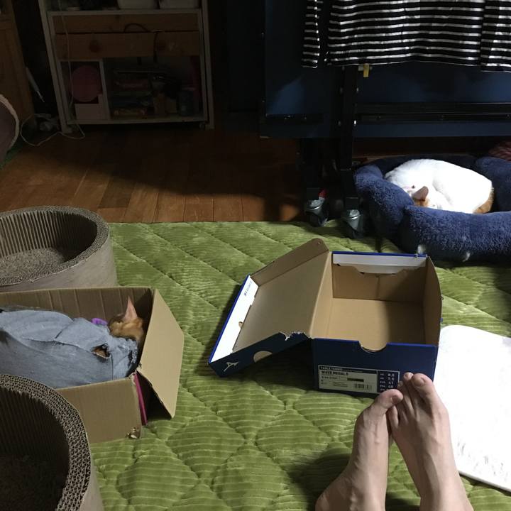 92870c54 5245 4a84 928b a04c2d3b8f0b 1540308901361