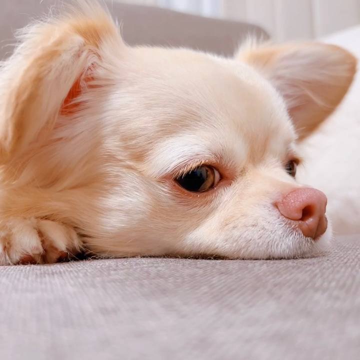 928713d5 5de5 47ad ac87 dfc536d48831 1650289013653