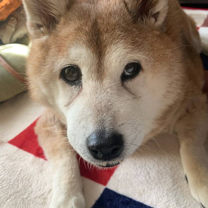 92872445 cc36 4391 8543 23563d1a610f 1632139679219