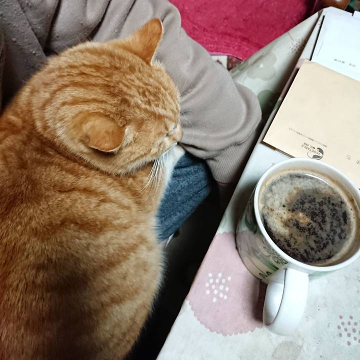 92872aed a384 4dcc 9cf4 de5ee337e797 1581365893014