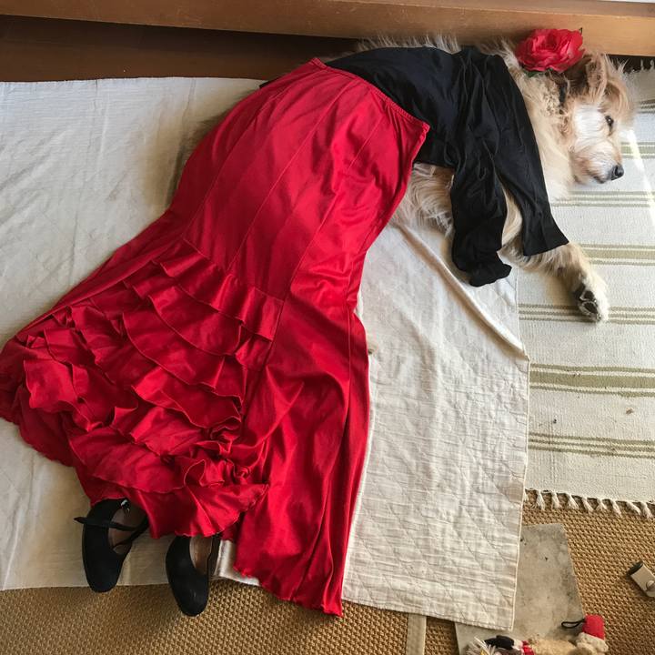 92875cc7 ea45 4d33 bb40 7cbea7a353f4 1546572239159