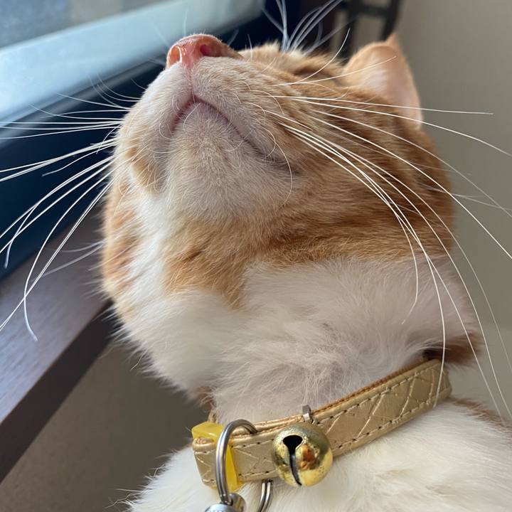 92875d8c e9fb 4c10 8968 fab25f167052 1613030823349