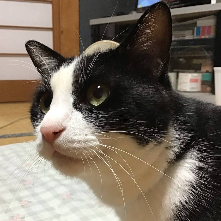 92877a90 3dc5 4be8 ac2c 8ae8c751ecf8 1720603172319