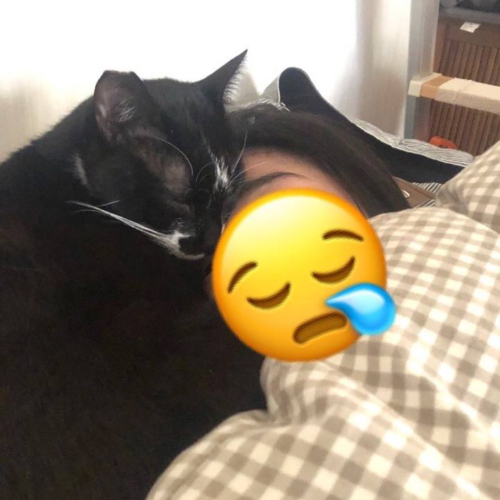 92878348 74d9 4a47 aaa8 0871aae2df38 1642489866241