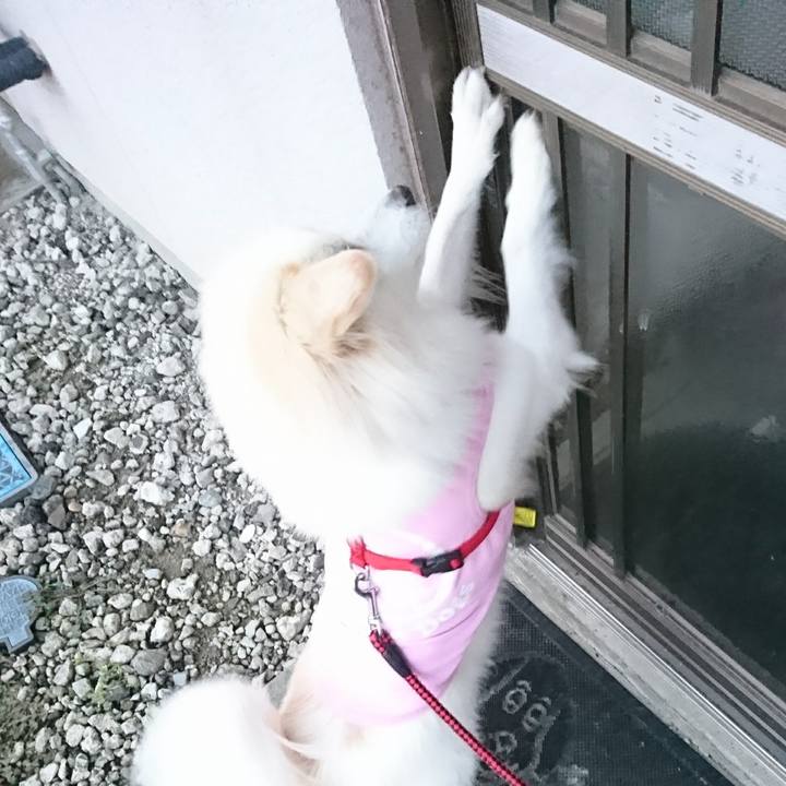 9287c933 7fb9 4795 b4ad b093471b0b66 1512597146787