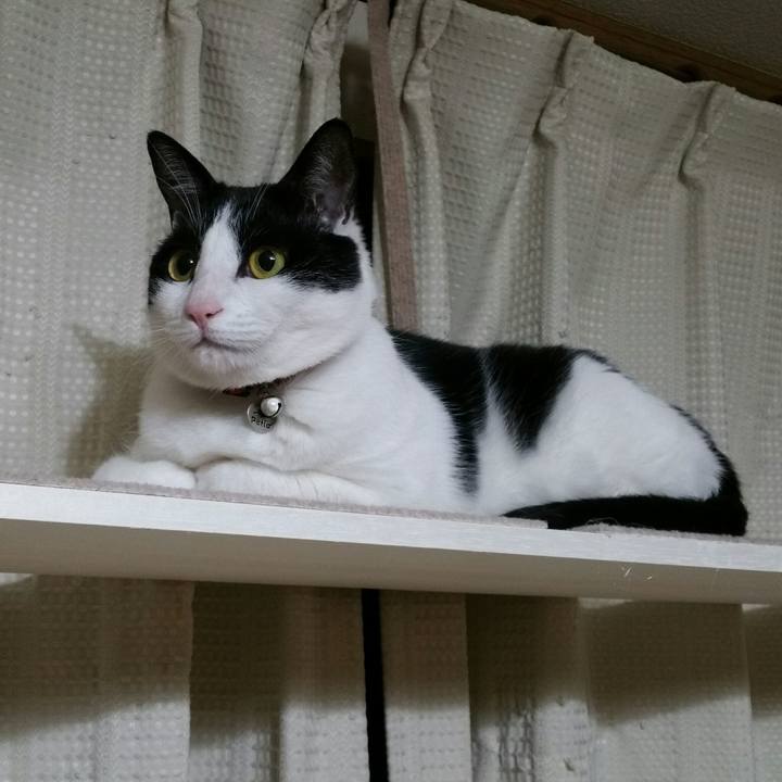 9287cb54 cdb9 468d 9129 f032472677f8 1517788927473