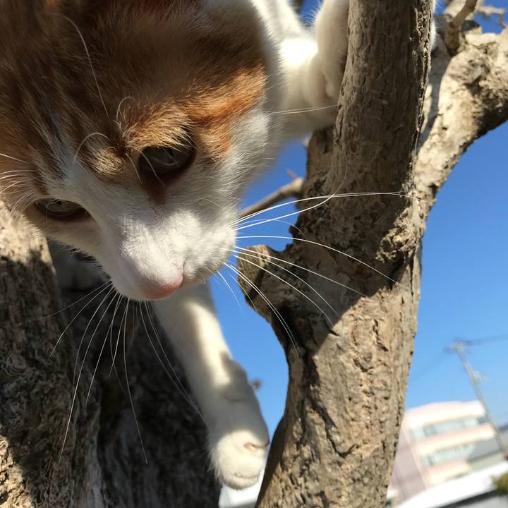 9287d48a f861 43ff 839b 46a7ef2f64a7 1512288489366