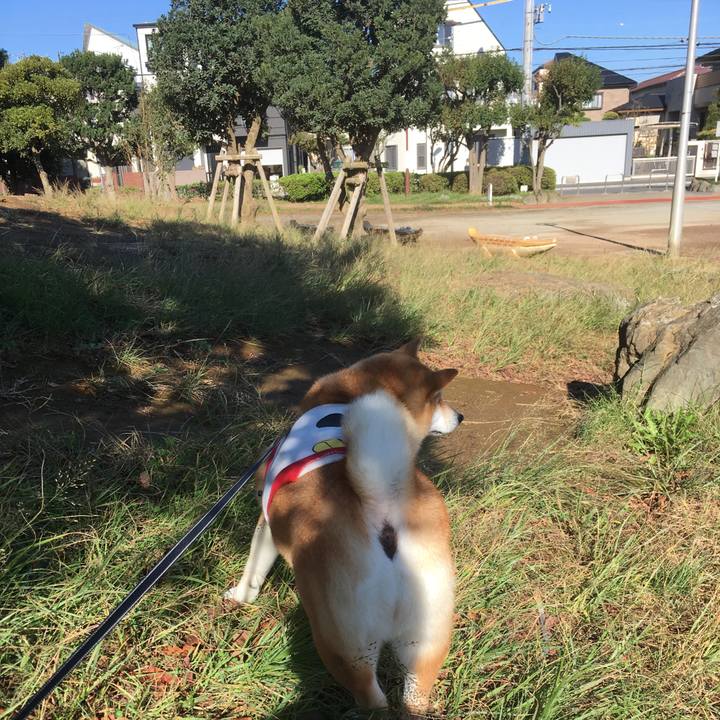 92882ff5 fefa 4e3d 906a 9b917c2e5272 1540082330174