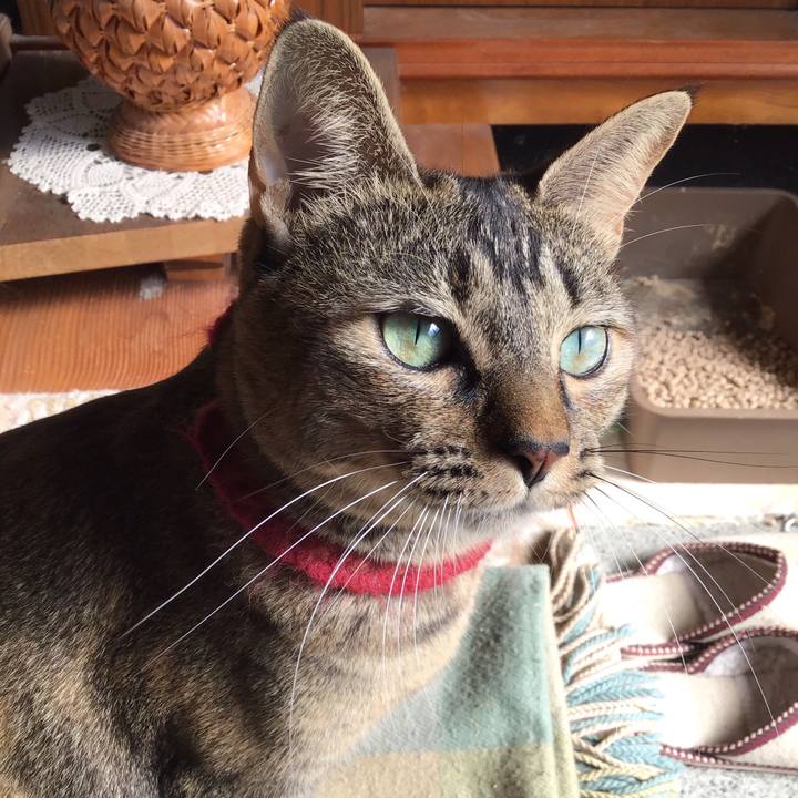 928843c5 418b 4258 bcb9 0662ee2d6920 1603856010755