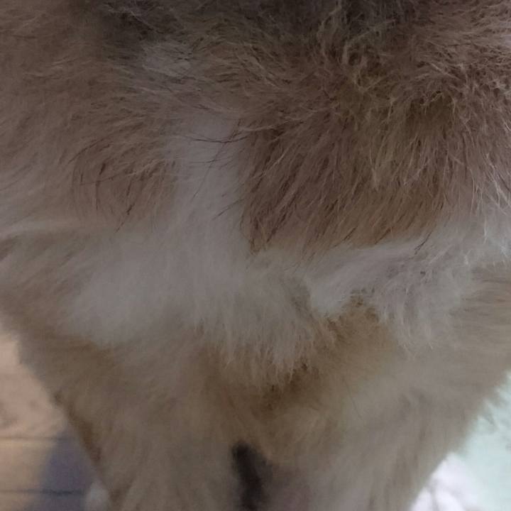 92885216 6175 43a3 b6b2 5b2f4f8d2353 1511862190234