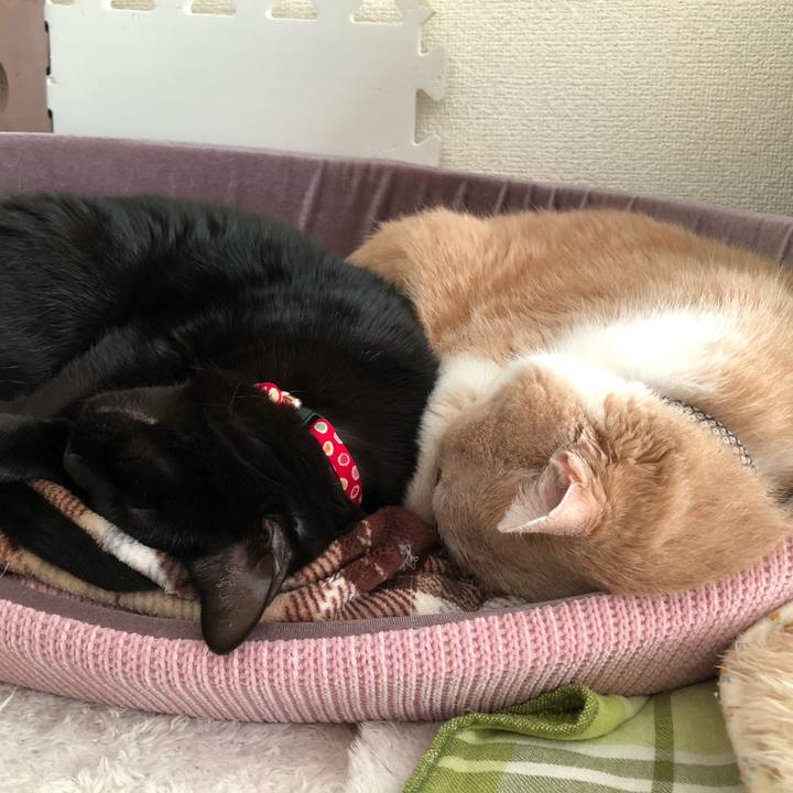 928896cf caca 4e55 a458 e7be4ce87317 1610611640290