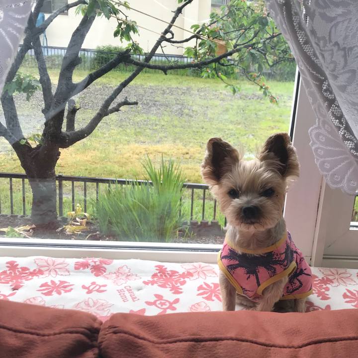 9288a2d0 c71a 437f 8a32 887efbad1dcb 1592474970400