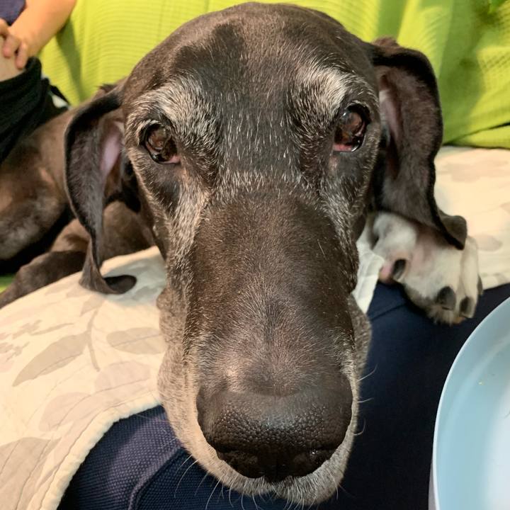 9288a53b 941a 45e9 83ab 9cb68eda19ff 1563693577642