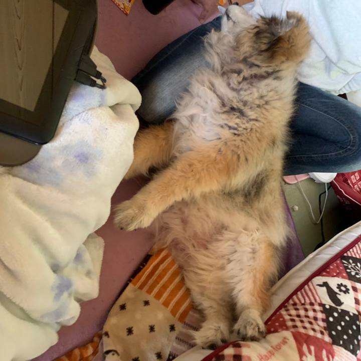 928902df be6e 447c 8f35 a3ca89ceff56 1588839140053