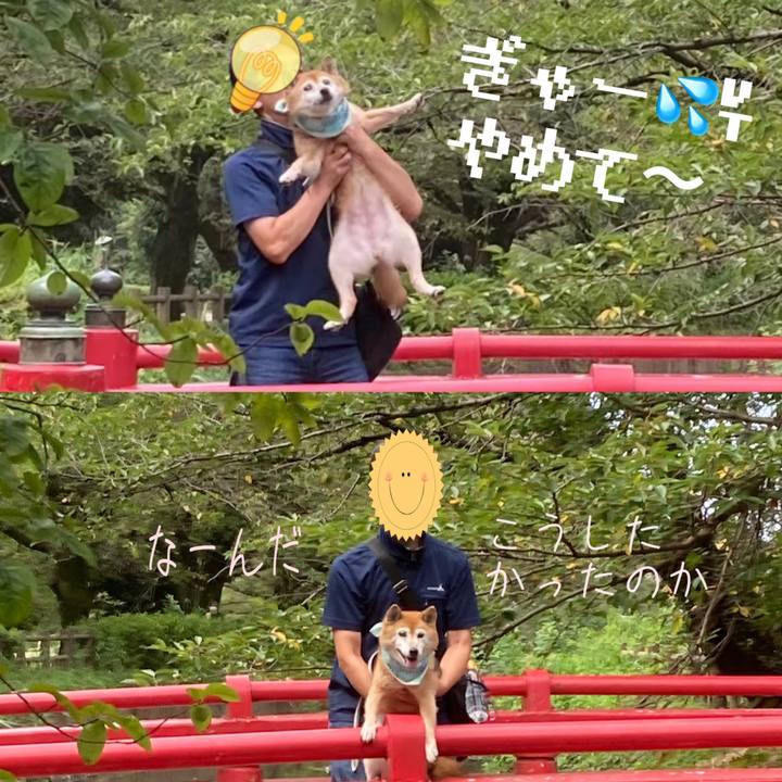 92890ab3 fbd4 467e 9e8c a65edc9a6b97 1755404176222