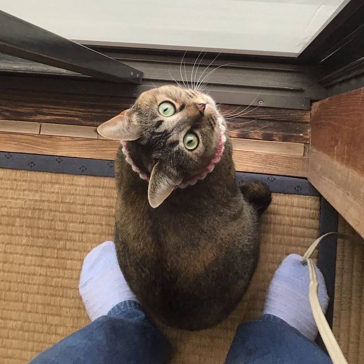 92890d63 bfcd 4299 b1f2 0f530d2bd33b 1617607070709