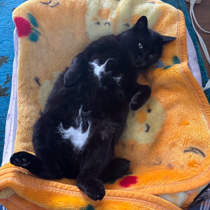 92890e4d ce7e 4fb4 897b 35cb3ca91f53 1764392978913