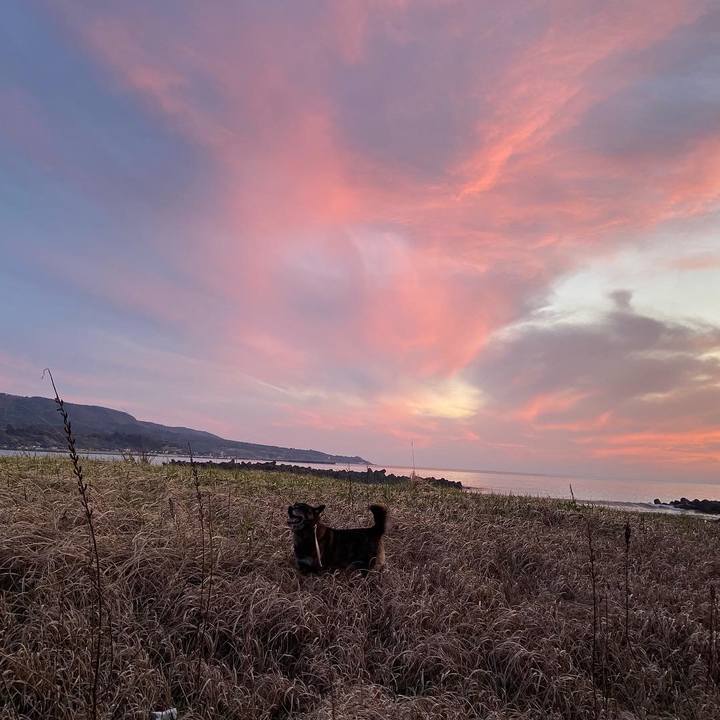 92891a67 93a7 4da4 8fd6 bd5b8e3eb6ab 1584611573551