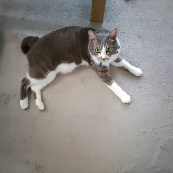 92893457 bf69 489a 8eac 4a1dd42121fa 1689994254253