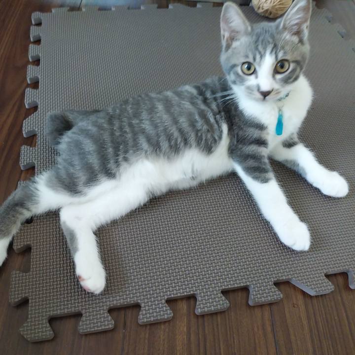 928943c3 8242 4bd0 83ca 7c8e1321195c 1565313744419