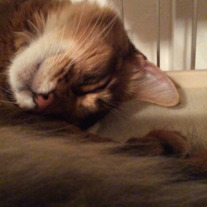 92895e69 dc33 4834 bd02 c93376a898b3 1567348579006