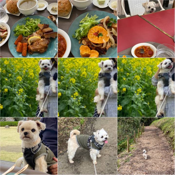 928967b3 2a67 46fe b73f 7ed72ded99d5 1585389250762