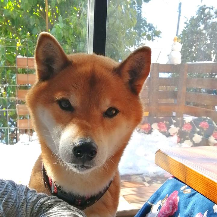 92898f4f 1f23 4716 8a95 ac5ab8374e18 1644541563043