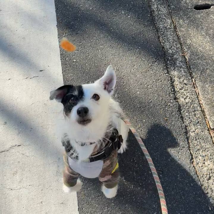 9289b563 c221 43a5 98a7 ebdc8675aae2 1765065930454