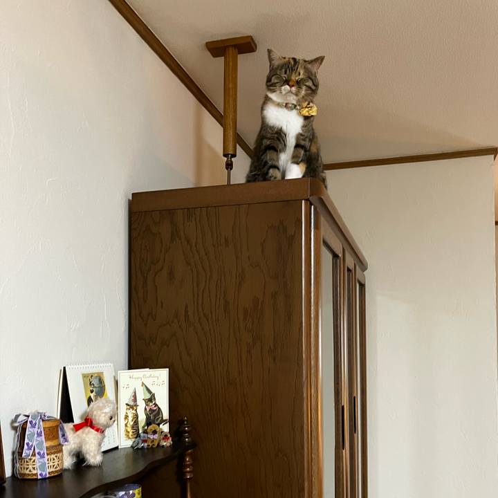 9289bbec bfa3 495f 8d84 3e53e599172c 1774507443264