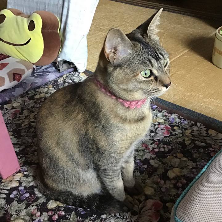 928a04d4 a310 48bb b858 24d47b2c80c6 1592602752699