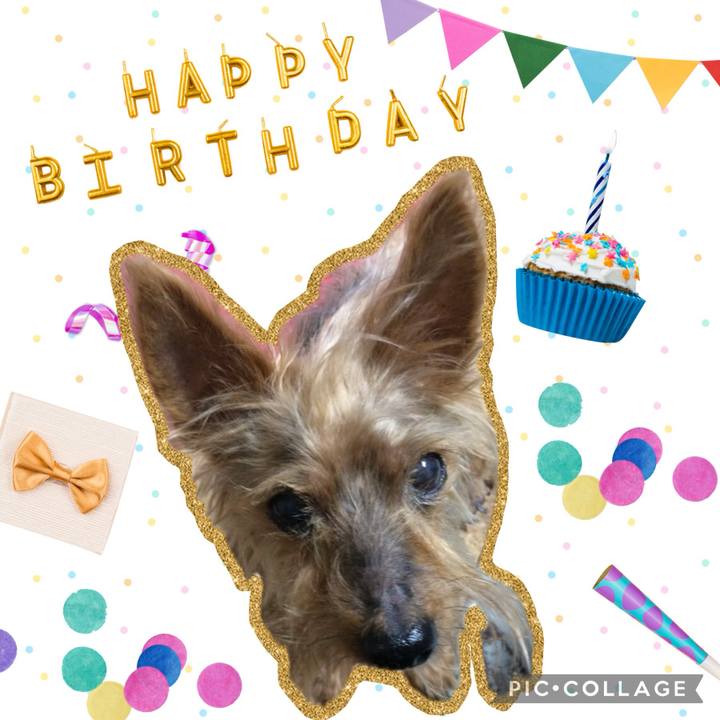 928a2818 adfa 4310 8324 9ae08f787a3e 1724281504535