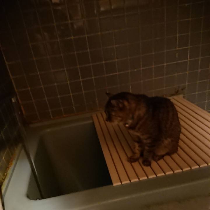 928a3c48 fbfc 40fc 93ab 3ed83f4b7e0e 1574069639910