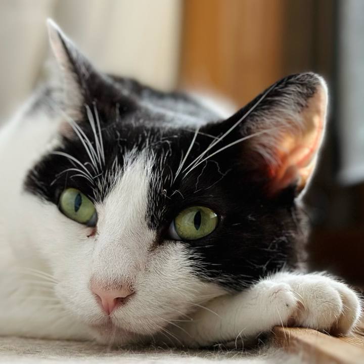 928a3f9f 284b 491c aa29 dab0586a5734 1718415346211